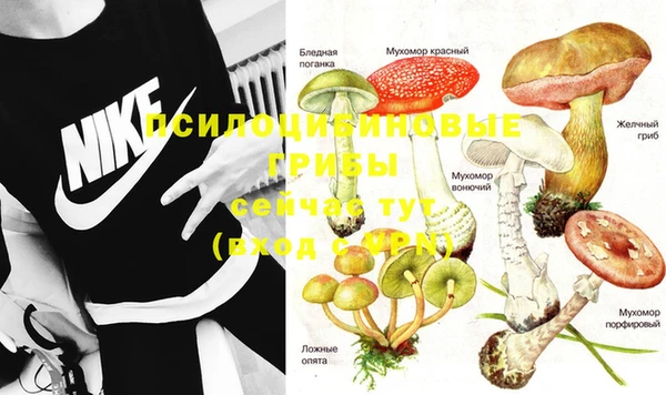 прущая мука Балахна