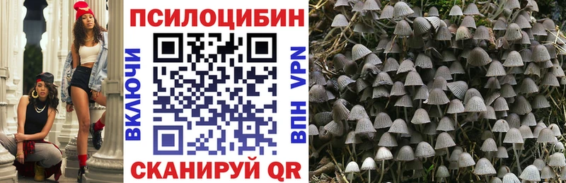 Псилоцибиновые грибы ЛСД  Эртиль 